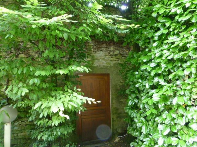 Insolite Appart Pasteur Apartment Dijon Exterior photo